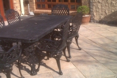 500-x-500-Black-Mushroom