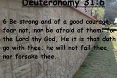 Deut-31-6