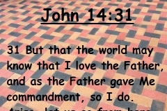John-14-31
