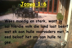 Josua-1-6