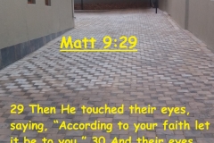 Matt-9-29