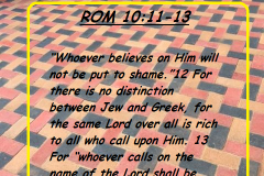 Rom-10-11-13
